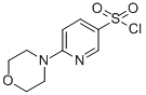 结构式 CAS# 337508-68-6, 6-吗啉-4-基-吡啶-3-磺酰氯