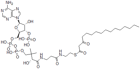 CAS#: 34619-89-1， S-[2-[3-[[(2R)-4-[[[(2R,3S,4R,5R)-5-(6-Aminopurin-9-Yl)-4-Hydroxy-3-Phosphonooxyoxolan-2-Yl]Methoxy-Hydroxyphosphoryl]Oxy-Hydroxyphosphoryl]Oxy-2-Hydroxy-3,3-Dimethylbutanoyl]Amino]Propanoylamino]Ethyl] 3-Oxohexadecanethioate