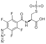 CAS 登录号：352000-06-7， 4-叠氮基-2,3,5,6-四氟苯甲酰胺基半胱氨酸甲烷硫代磺酸盐