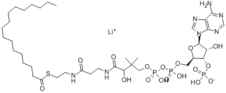 structure of CAS# 3546-17-6, n-Heptadecanoyl Coenzyme A Lithium Salt;S-[2-[3-[[(2R)-4-[[[(2R,3S,4R,5R)-5-(6-Aminopurin-9-Yl)-4-Hydroxy-3-Phosphonooxy-Tetrahydrofuran-2-Yl]Methoxy-Hydroxy-Phosphoryl]Oxy-Hydroxy-Phosphoryl]Oxy-2-Hydroxy-3,3-Dimethyl-Butanoyl]Amino]Propanoylamino]Ethyl] Heptadecanethioate;Heptadecanethioic Acid S-[2-[[3-[[(2R)-4-[[[(2R,3S,4R,5R)-5-(6-Amino-9-Purinyl)-4-Hydroxy-3-Phosphonooxy-2-Tetrahydrofuranyl]Methoxy-Hydroxyphosphoryl]Oxy-Hydroxyphosphoryl]Oxy-2-Hydroxy-3,3-Dimethyl-1-Oxobutyl]Amino]-1-Oxopropyl]Amino]Ethyl] Ester;Heptadecanethioic Acid S-[2-[3-[[(2R)-4-[[[(2R,3S,4R,5R)-5-(6-Aminopurin-9-Yl)-4-Hydroxy-3-Phosphonooxy-Tetrahydrofuran-2-Yl]Methoxy-Hydroxy-Phosphoryl]Oxy-Hydroxy-Phosphoryl]Oxy-2-Hydroxy-3,3-Dimethyl-Butanoyl]Amino]Propanoylamino]Ethyl] Ester