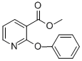 CAS 登录号：36701-88-9， 2-苯氧基烟酸甲酯