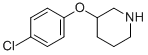structure of CAS# 384346-27-4, 3-(4-Chlorophenoxy)Piperidine