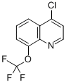 CAS#: 40516-42-5， 4-Chloro-8-Trifluoromethoxyquinoline
