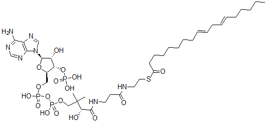 CAS#: 40757-80-0， Linoleoyl-Coenzyme A
