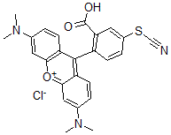 CAS 登录号：4158-89-8， 四甲基玫瑰精异硫氰酸酯