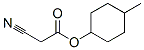CAS#: 42024-49-7， (4-Methylcyclohexyl) 2-Cyanoacetate