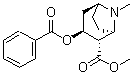 CAS 登录号：478-73-9， (R)-伪可卡因