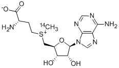 CAS#: 4989-98-4， 5'-[[(3S)-3-Amino-3-Carboxypropyl]Methyl-14C-Sulfonio]-5'-Deoxy-Adenosine Inner Salt