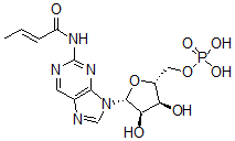 CAS#: 52246-50-1， Monobutyryl Cyclic Gmp