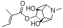 CAS 登录号：526-13-6， 陀罗碱