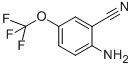 structure of CAS# 549488-77-9, 2-Amino-5-(Trifluoromethoxy)Benzonitrile;2-AMINO-5-(TRIFLUOROMETHOXY)BENZONITRILE