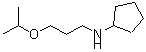 CAS#: 55611-58-0， N-(3-Isopropoxypropyl)Cyclopentanamine