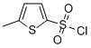 structure of CAS# 55854-45-0, 5-Methyl-2-Thiophenesulfonyl Chloride;5-Methylthiophene-2-Sulfonyl Chloride(SALTDATA: FREE);5-Methylthiophene-2-Sulphonyl Chloride 97%;2-Thiophenesulfonyl Chloride, 5-Methyl-