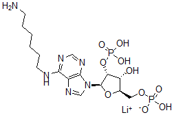 CAS#: 55914-62-0， N6-(6-Aminohexyl)Adenosine 2',5'-Diphosphate Lithium Salt