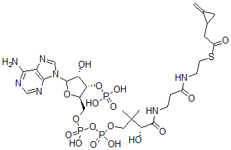 CAS#: 56898-43-2， Coenzyme A S-(2-methylenecyclopropaneacetate)