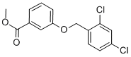 structure of CAS# 58041-99-9, Methyl 3-[(2,4-Dichlorobenzyl)Oxy]Benzenecarboxylate;METHYL 3-[(2,4-DICHLOROBENZYL)OXY]BENZENECARBOXYLATE