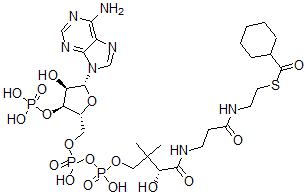 structure of CAS# 5960-12-3, Cyclohexanecarboxyl-Coenzyme A;S-[2-[3-[[(2R)-4-[[[(2R,3S,4R,5R)-5-(6-Aminopurin-9-Yl)-4-Hydroxy-3-Phosphonooxy-Tetrahydrofuran-2-Yl]Methoxy-Hydroxy-Phosphoryl]Oxy-Hydroxy-Phosphoryl]Oxy-2-Hydroxy-3,3-Dimethyl-Butanoyl]Amino]Propanoylamino]Ethyl] Cyclohexanecarbothioate;Cyclohexanecarbothioic Acid S-[2-[[3-[[(2R)-4-[[[(2R,3S,4R,5R)-5-(6-Amino-9-Purinyl)-4-Hydroxy-3-Phosphonooxy-2-Tetrahydrofuranyl]Methoxy-Hydroxyphosphoryl]Oxy-Hydroxyphosphoryl]Oxy-2-Hydroxy-3,3-Dimethyl-1-Oxobutyl]Amino]-1-Oxopropyl]Amino]Ethyl] Ester;Cyclohexanecarbothioic Acid S-[2-[3-[[(2R)-4-[[[(2R,3S,4R,5R)-5-(6-Aminopurin-9-Yl)-4-Hydroxy-3-Phosphonooxy-Tetrahydrofuran-2-Yl]Methoxy-Hydroxy-Phosphoryl]Oxy-Hydroxy-Phosphoryl]Oxy-2-Hydroxy-3,3-Dimethyl-Butanoyl]Amino]Propanoylamino]Ethyl] Ester