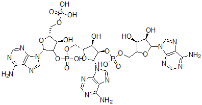 CAS#: 61172-40-5， 2',5'-Oligoadenylate