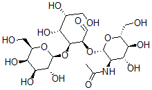 CAS 登录号：62398-02-1， 吡喃半乳糖基-1-4-N-乙酰基葡萄糖胺基-1-2-吡喃甘露糖