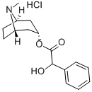 structure of CAS# 637-21-8, Homatropine Hydrochloride;(8-Methyl-8-Azabicyclo[3.2.1]Octan-3-Yl) 2-Hydroxy-2-Phenyl-Acetate Hydrochloride;2-Hydroxy-2-Phenylacetic Acid (8-Methyl-8-Azabicyclo[3.2.1]Octan-3-Yl) Ester Hydrochloride;2-Hydroxy-2-Phenyl-Acetic Acid (8-Methyl-8-Azabicyclo[3.2.1]Octan-3-Yl) Ester Hydrochloride