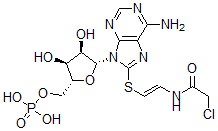 CAS#: 65259-76-9, 8-(Chloroacetylaminoethylthio)Cyclic Amp