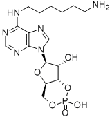CAS#: 66311-09-9， N(6)-(Aminohexyl)-adenosine-3',5'-monophosphate
