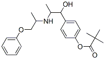 CAS#: 67160-74-1， 4-[1-Hydroxy-2-[(1-Methyl-2-Phenoxyethyl)Amino]Propyl]Phenyl Pivalate