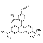 CAS#: 6749-36-6， 9-(2-Carboxy-4-Isothiocyanatophenyl)-6-(Dimethylamino)-N,N-Dimethyl-3H-Xanthen-3-Iminium Chloride