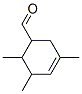 CAS#: 67634-07-5， 3,5,6-Trimethylcyclohex-3-Ene-1-Carbaldehyde