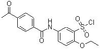 CAS#: 680618-04-6， 5-[(4-Acetylbenzoyl)amino]-2-ethoxybenzenesulfonyl chloride