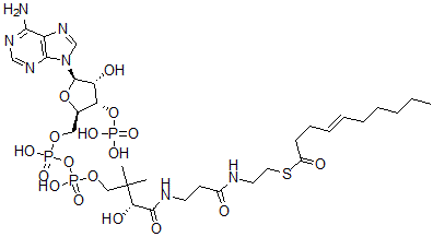 CAS#: 69281-30-7， 4-cis-Decenoyl-Coenzyme A