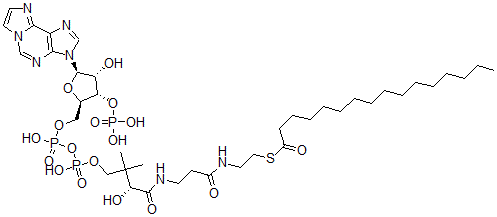 CAS#: 69680-31-5， Palmitoyl-(1,N(6))-Ethenocoenzyme A