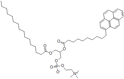 CAS#: 70700-33-3， 1-Palmitoyl-2-Pyrenedecanoylphosphatidylcholine