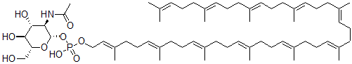 CAS#: 72165-46-9， [(2S,3R,4R,5S,6R)-3-Acetamido-4,5-Dihydroxy-6-(Hydroxymethyl)Oxan-2-Yl] [(2E,6E,10E,14E,18E,22E,26E,30E,34E,38E)-3,7,11,15,19,23,27,31,35,39,43-Undecamethyltetratetraconta-2,6,10,14,18,22,26,30,34,38,42-Undecaenyl] Hydrogen Phosphate