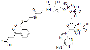CAS#: 72471-59-1， 4-[2-[2-[3-[[(2R)-4-[[[(2R,3S,4R,5R)-5-(6-Aminopurin-9-Yl)-4-Hydroxy-3-Phosphonooxyoxolan-2-Yl]Methoxy-Hydroxyphosphoryl]Oxy-Hydroxyphosphoryl]Oxy-2-Hydroxy-3,3-Dimethylbutanoyl]Amino]Propanoylamino]Ethylsulfanylcarbonyl]Phenyl]-4-Oxobutanoic Acid