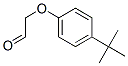 CAS#: 72928-50-8， 2-(4-Tert-Butylphenoxy)Acetaldehyde