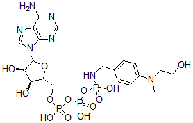 CAS#: 74536-50-8， [[[(2R,3S,4R,5R)-5-(6-Aminopurin-9-Yl)-3,4-Dihydroxyoxolan-2-Yl]Methoxy-Hydroxyphosphoryl]Oxy-Hydroxyphosphoryl]Oxy-N-[[4-(2-Hydroxyethyl-Methylamino)Phenyl]Methyl]Phosphonamidic Acid