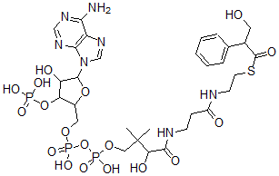 CAS#: 74717-87-6， S-[2-[3-[[4-[[[5-(6-Aminopurin-9-Yl)-4-Hydroxy-3-Phosphonooxyoxolan-2-Yl]Methoxy-Hydroxyphosphoryl]Oxy-Hydroxyphosphoryl]Oxy-2-Hydroxy-3,3-Dimethylbutanoyl]Amino]Propanoylamino]Ethyl] 3-Hydroxy-2-Phenylpropanethioate