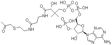 CAS#: 75179-85-0， Acetonyl-Coenzyme A