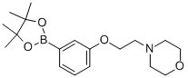 structure of CAS# 756520-70-4, 3-(2-Morpholinoethoxy)phenylboronic acid, pinacol ester;4-(2-(3-(4,4,5,5-Tetramethyl-1,3,2-Dioxaborolan-2-Yl)Phenoxy)Ethyl)Morpholine;3-(2-Morpholinoethoxy)Phenylboronic Acid, Pinacol Ester