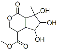 CAS#: 75853-64-4， Methyl 5,6,7-Trihydroxy-7-Methyl-1-Oxo-3,4,4a,5,6,7a-Hexahydrocyclopenta[d]Pyran-4-Carboxylate