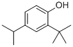 CAS#: 7597-97-9， 2-Tert-Butyl-4-Isopropylphenol