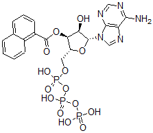 CAS#: 76152-01-7， [(2R,3S,4R,5R)-5-(6-Aminopurin-9-Yl)-4-Hydroxy-2-[[Hydroxy-(Hydroxy-Phosphonooxyphosphoryl)Oxyphosphoryl]Oxymethyl]Oxolan-3-Yl] Naphthalene-1-Carboxylate