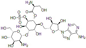 CAS#: 76174-56-6， [(1R,2S,3S,4S,5R,6R)-4-[(2R,3S,4R,5S,6S)-3-Amino-4,5-Dihydroxy-6-(Hydroxymethyl)Oxan-2-Yl]Oxy-2-[[(2R,3S,4R,5R)-5-(6-Aminopurin-9-Yl)-3,4-Dihydroxyoxolan-2-Yl]Methoxy]-3,5-Dihydroxy-6-Sulfooxycyclohexyl] (2S)-2-Amino-3-Hydroxypropanoate