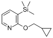 structure of CAS# 782479-90-7, 2-Cyclopropylmethoxy-3-Trimethylsilanyl-Pyridine;2-(Cyclopropylmethoxy)-3-(Trimethylsilyl)Pyridine;2-CYCLOPROPYLMETHOXY-3-TRIMETHYLSILANYL-PYRIDINE