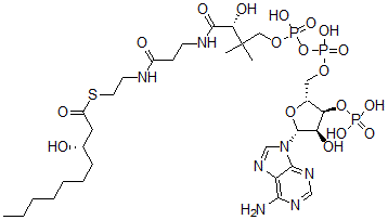 CAS#: 79171-49-6， 3-Hydroxydecanoyl-coenzyme A