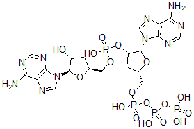 CAS#: 79919-77-0， (2'-5')-3'-Deoxyadenosine Triphosphate-3'-Deoxyadenosine Monophosphate