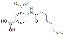 CAS#: 80500-29-4， 3-Nitro-4-(6-Aminohexylamido)Phenylboronic Acid