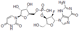 CAS 登录号：80681-27-2， 2'-脱氧-2'-氟鸟苷酰-(3'-5')尿苷
