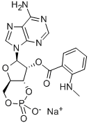CAS#: 83707-14-6， Adenosine, Cyclic 3',5'-(Hydrogen Phosphate), 2'-[2-(Methylamino)Benzoate]